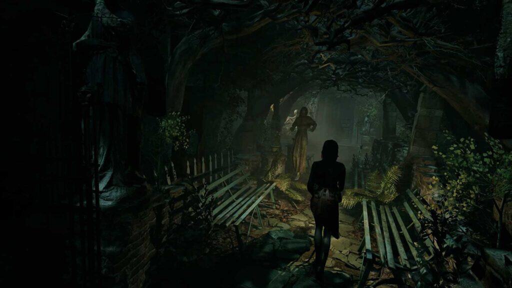 Des images de Tormented Souls 2